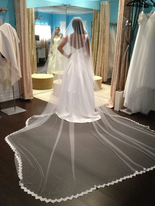 Wedding veil with lace trim.